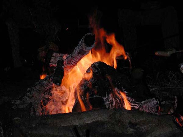 Waldspeck_2002056